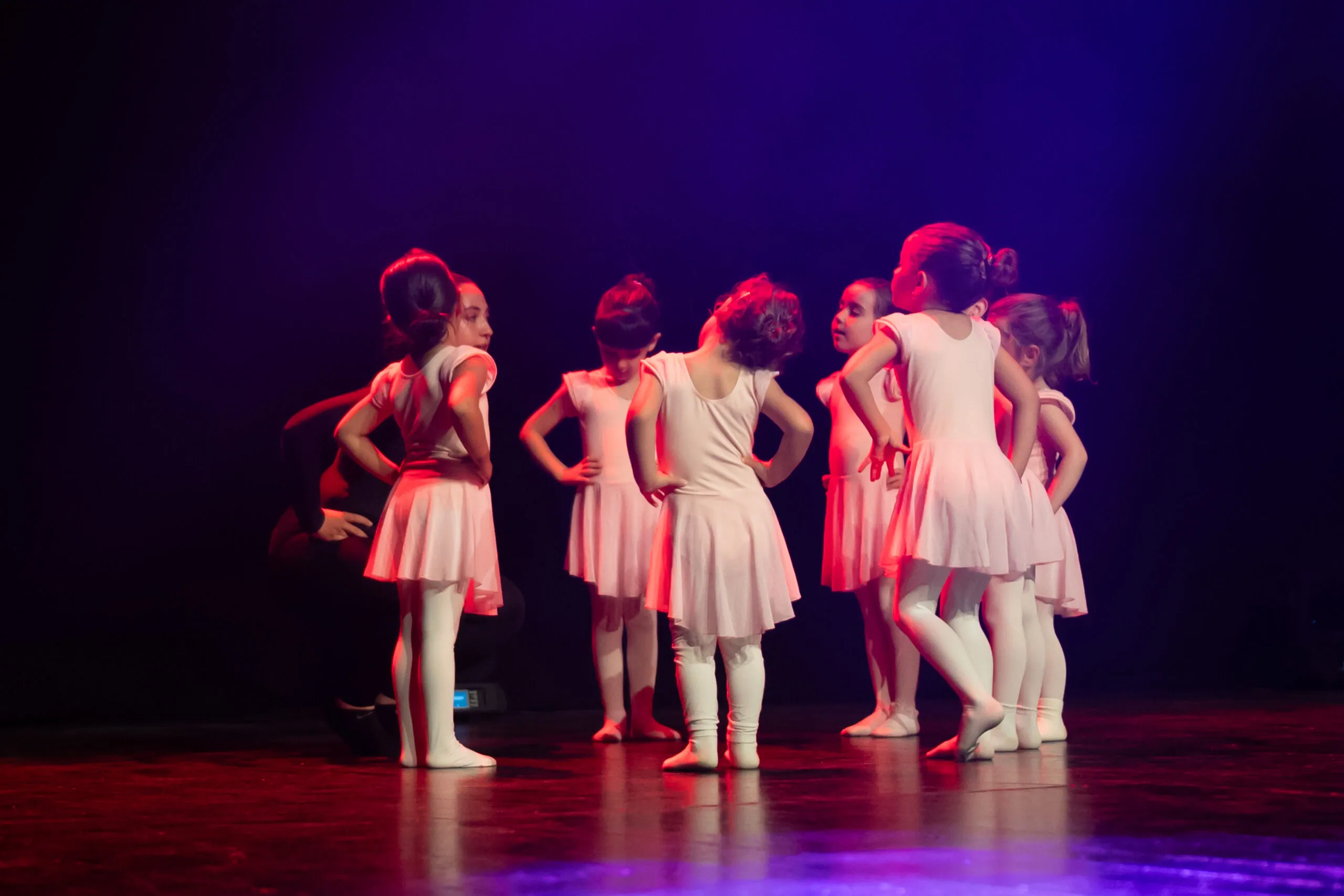 Imatge de la galeria de La Fàbrica de les Arts